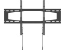 SAVLL1, Front
